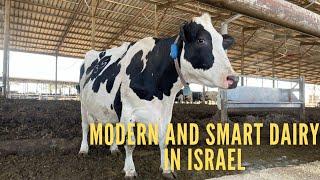 Modern & Smart Dairy Farm in Israel