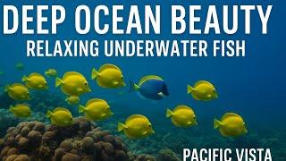 "Deep Ocean Beauty | Relaxing Underwater Fish in 4K | Pacific Vista Nature"