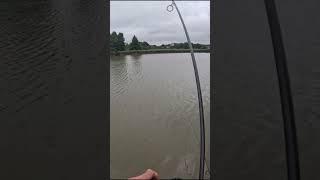 Поклевка большой рыбы #рыбалка #fishing