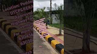 DTCP Plots @ Peddapur, Ph :6304566316#investment #r1zone #realestate #hmdaplotsforsaleinhyderabad