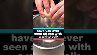 have you ever seen an egg with a white yolk. #delicous #food #streetfood #facts