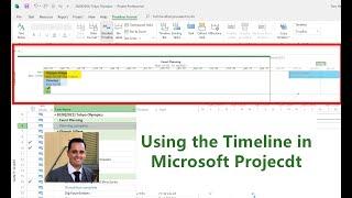 How to use the Timeline in Microsoft Project