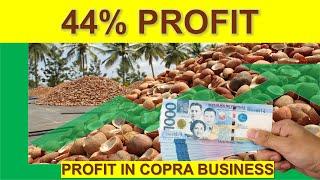 Basic Ideas  in Coconut Tree & Your Profit in Copra Business for 100 Coconut Trees in One Hectare