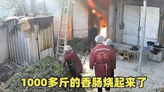 1000多斤的香肠烧起来了，破财消灾吸取教训，继续努力干就完了