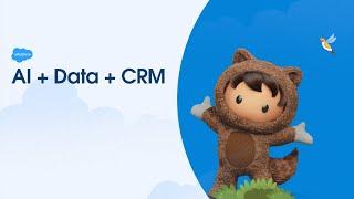 AI + Data + CRM