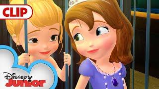 Mermaid Rescue | Sofia The First | @disneyjr