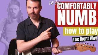 COMFORTABLY NUMB - first guitar solo tutorial / how to play / guitar lesson /