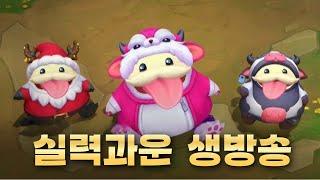 [롤체] 전략가의 컵 1일차 - 실력과운 개인화면