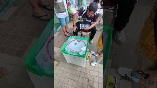 Spin Finish! Wyvern Gale vs Dran Sword | Beyblade X Tournament Saujana Upperground XVIII Pustaka