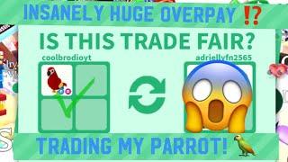 Trading FR Parrot in 2024! What’s it worth? (Roblox Adopt Me)