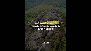 Hucurat Surəsi Quran Hafizi - Abdullah Ceyranbatanlı