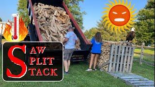 PROCESSING FIREWOOD IN THE HEAT! - #83.