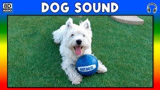  DOG SOUND - DOG SOUND EFFECT - SOUND OF DOG - NOISE OF DOG