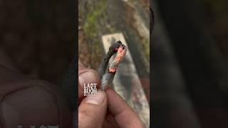 Survival Bushcraft Tips & Tricks #survival #bushcraft #camping #outdoors