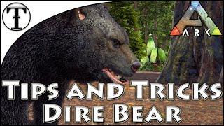 Fast Dire Bear Taming Guide :: Ark : Survival Evolved Tips and Tricks