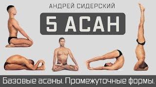 Промо | Базовые асаны. Промежуточные формы. Сидерский. 1-5