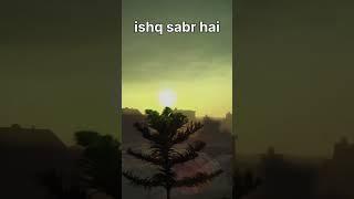 Ishq sadr ha dosti sukoon #shorts #nature #live song #youtube shorts