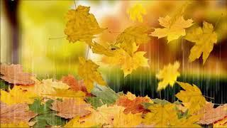 Video screensaver Autumn leaves Groza