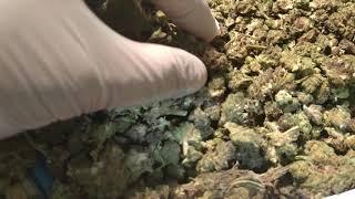 Rosaberry Flower Smokelegalcbd.com