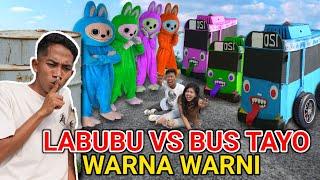 PEMBALASAN!! LABUBU BANGKIT JADI WARNA WARNI VS BUS TAYO WARNA WARNI?? | Mikael TubeHD