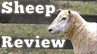 2017 Ovis Aries: Regular Car Reviews