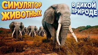 СИМУЛЯТОР ЖИВОТНЫХ В ДИКОЙ ПРИРОДЕ ( Animalia Survival )