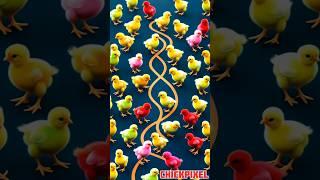 Chicks | Cuteness Overload #chicks #cute #ai #adorable #animals