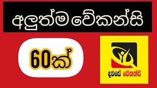 8 November 2024 new job vacancy /new job vacancies /work from home jobs srilanaka /jobs/job guide