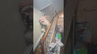 Smooth Ride in Maryland! HomePro Mobility Customer Enjoys New Harmar Pinnacle Stairlift Install 