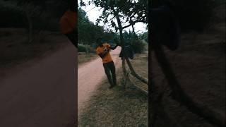 4k video status @SOMU MAJI #khubsurat Najara #Shorts video #happy new year special 