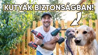 DIY KERÍTÉST ÉPÍTETTEM a Kutyák Megfékezésére! - Őszi KERT UPGRADE!