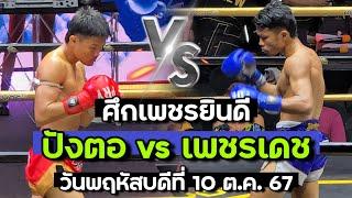 “ไฟต์ล่าสุด” ปังตอ ภ.หลักบุญ VS เพชรเดช มวยเด็ด789 | ศึกเพชรยินดี 10 ต.ค. 67