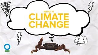WHAT IS CLIMATE CHANGE? - Climate Change #1 | Conservation International Singapore