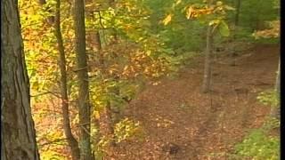 Ultimate Whitetail Season 4   All Antlers   1998