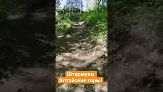 Покорил ещё одну Алтайскую гору - гору Круглая. Тяжело. Но вдохновляет!