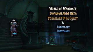 World of Warcraft Shadowlands Beta Torghast Pre Quest & erster Lauf mit dem Frostmagier