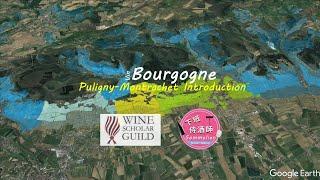 Wine Scholar Guild Bourgogne Master-Level | Puligny Montrachet: An Introduction |Burgundy Wine Study