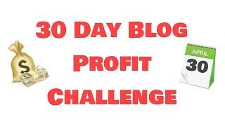 30 Day Blog Profit Challenge