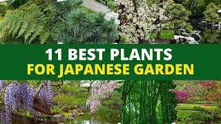 Top 11 Plants for a Japanese Zen Garden 