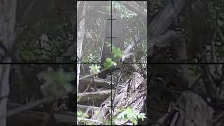 Novritsch SSG10 A1 Headshot Airsoft Sniper #SHORT