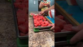 Freeze Dried Watermelon Is…Interesting!