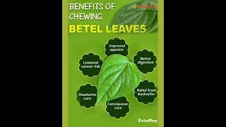 benefits of  betel leaves