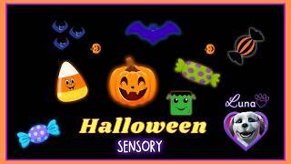  Happy Halloween Sensory Video Halloween for Kids