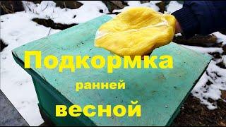 Подкормка. Подкормка пчел весной. Подкормка пчел медом.