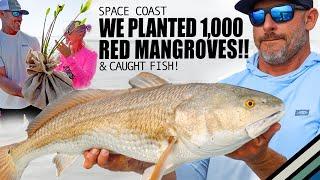 Uncovering Hidden Treasures in Mangrove Habitat | S9:E1 "Mangrove Mama"