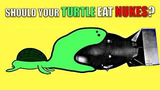 Turtle Incident