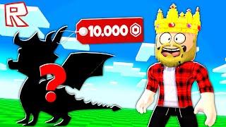 КАК ПОТРАТИТЬ ВСЕ РОБУКСЫ! МОЯ БАЗА ДРАКОНОВ! ROBLOX TYCOON