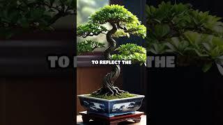 Discover the Magic of Bonsai Trees