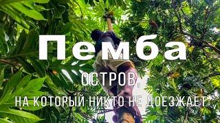 ПЕМБА - твой персональный остров. Мир, в который никто не доезжает.