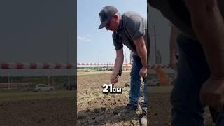 Новая сеялка и режущий каток Amazone #агротехнологии #трактор #farming #купитьтехнику #amazone